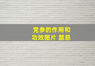 党参的作用和功效图片 禁忌